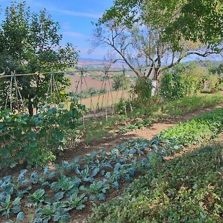 Pettirosso - Luxury Countryside Retreat With View Ripe